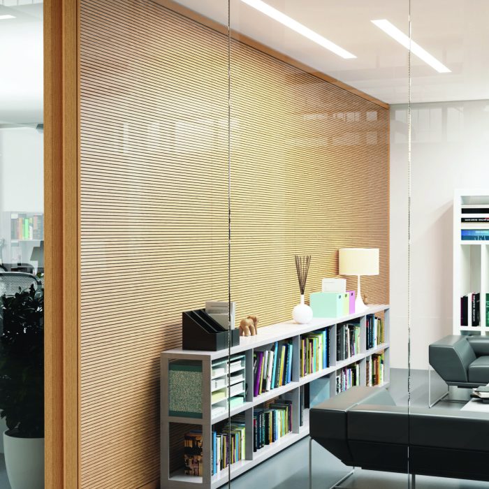 Dettaglio_Acousystem